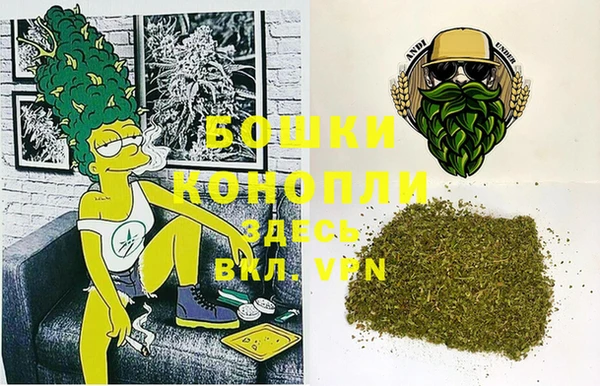 амф Инта