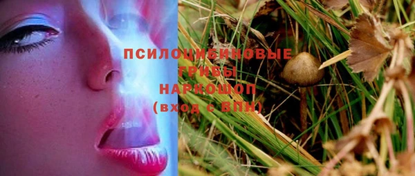 амф Инта