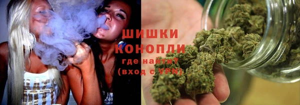 амф Инта