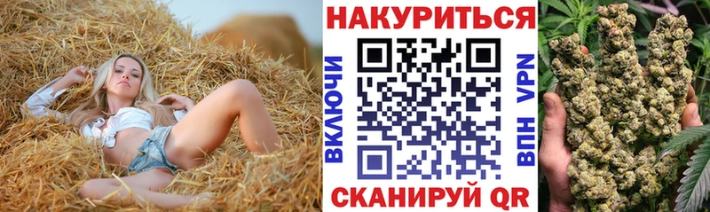 Бошки марихуана план  Купить  Волхов 